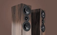 Audio System dystrybutorem Acoustic Energy