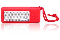 Blaupunkt BTS10 - przenośny głośnik Bluetooth 