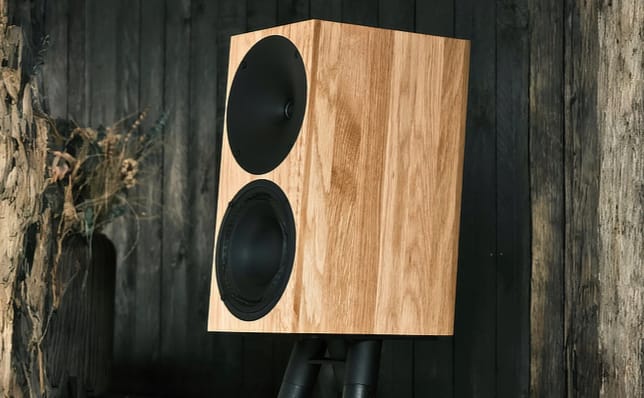Buchardt Audio Anniversary A10