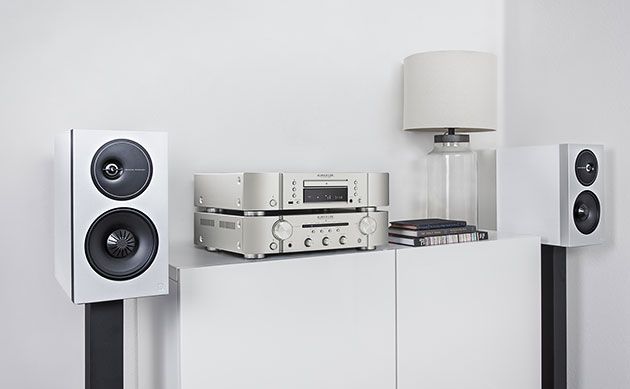 Definitive Technology w Horn Distribution