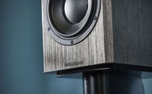 Dynaudio Special Forty