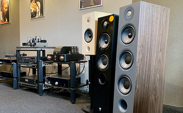 Focal Chora w Q21