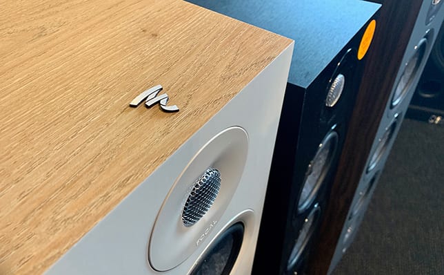 Focal Chora w Q21