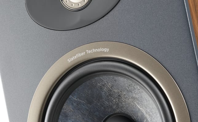 Focal Theva