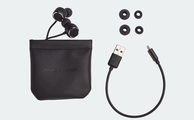 Harman Kardon Fly BT