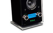 McIntosh RS100