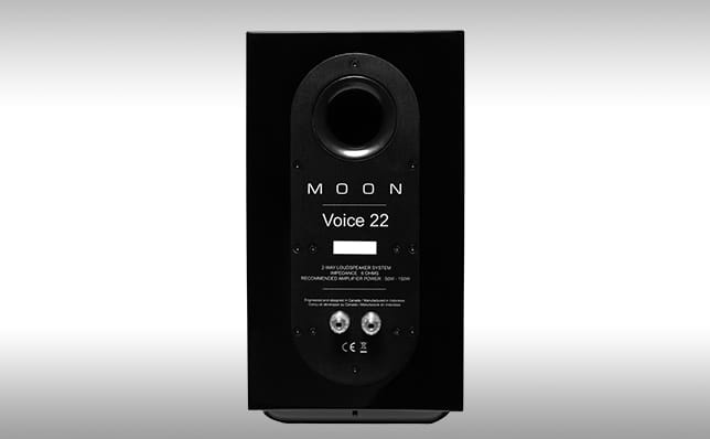 Moon Voice 22