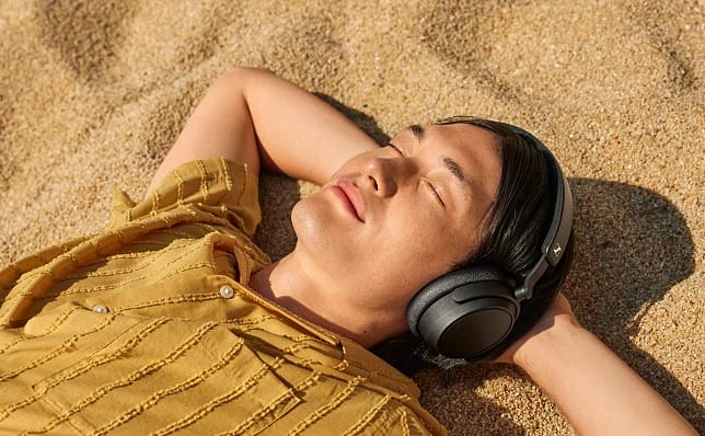Sennheiser Accentum Plus Wireless