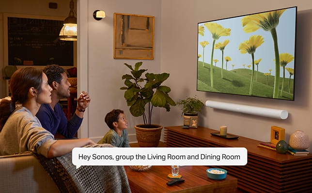 Sonos Voice Control