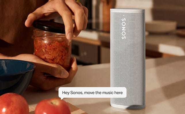 niezdefiniowano - Sonos Voice Control