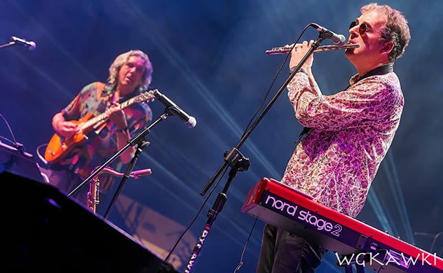 Summer Fog Festival 2019