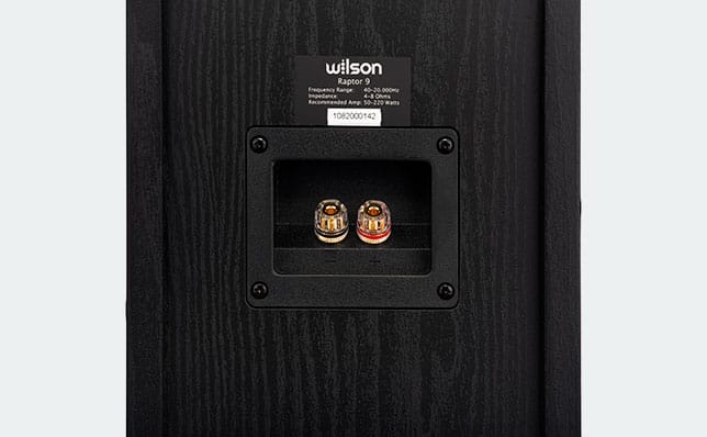 Wilson Raptor 9