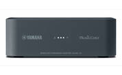 Yamaha MusicCast WXAD-10