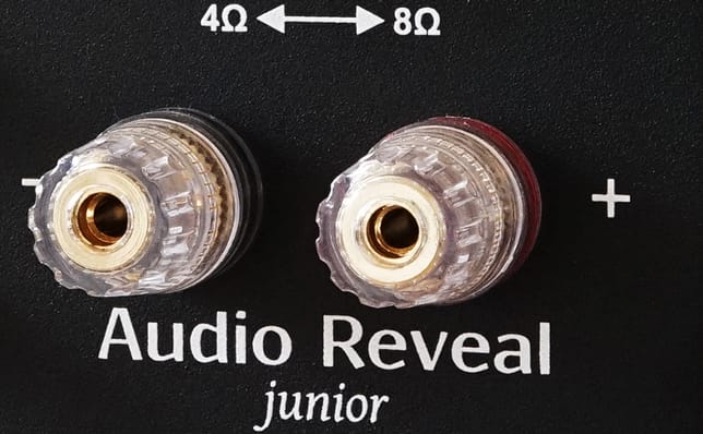Audio Reveal Junior