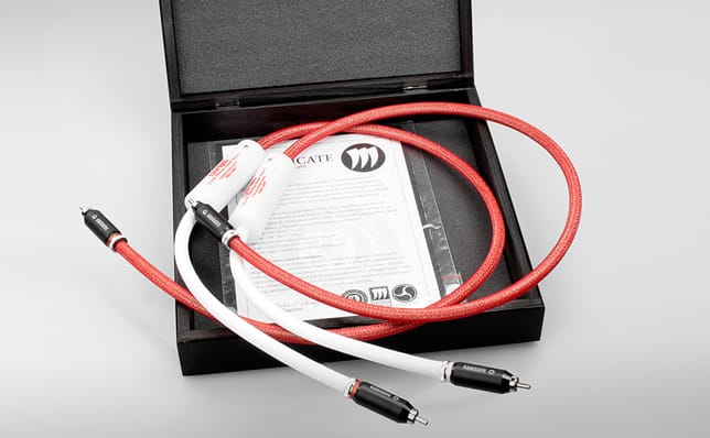 Audiomica Erys Excellence M2