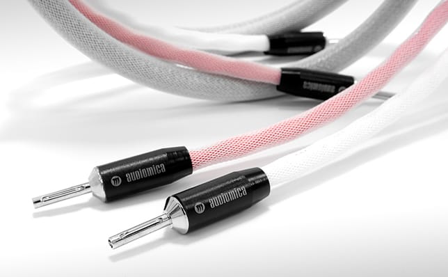 Audiomica Genimedes Ultra Reference