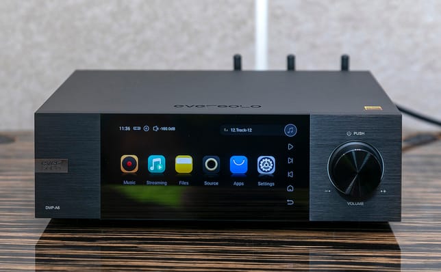 EverSolo DMP-A6