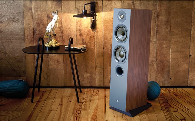 Focal Chora 816