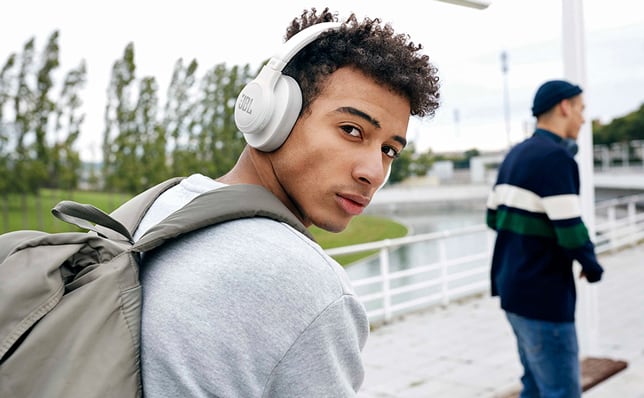 JBL Live 500BT