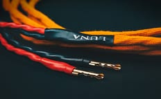 Luna Cables Orange Speakers