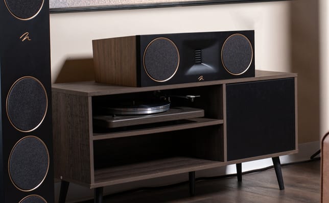 Martin Logan Motion XT C100