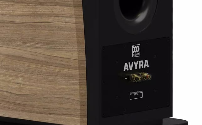 Morel Avyra 633