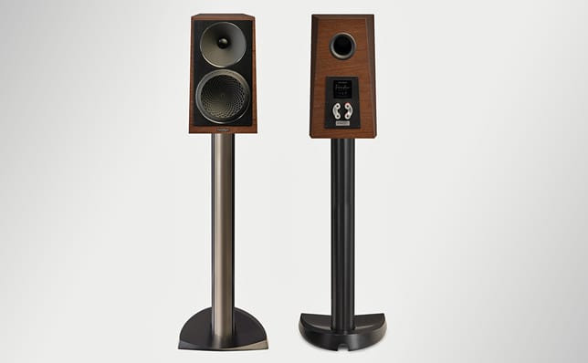 Paradigm Founder 40B