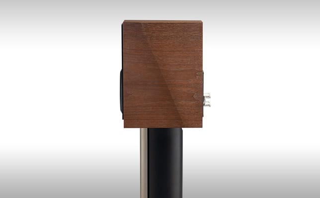 Paradigm Founder 40B