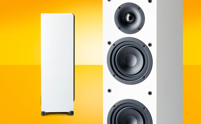 Paradigm Monitor SE 6000F