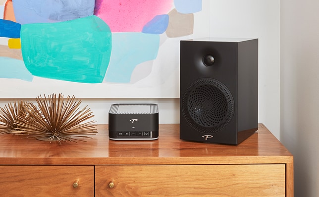 kolumny podstawkowe Paradigm Premier 100B