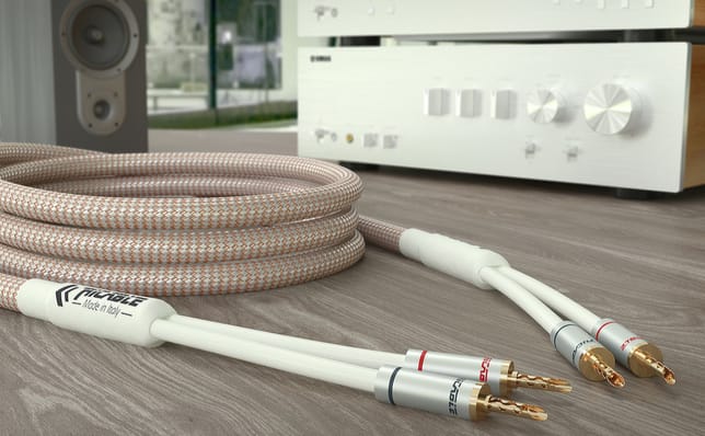 Ricable Dedalus Speaker Elite