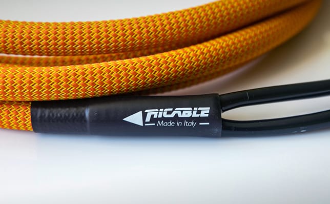 Ricable Dedalus Speaker MKII