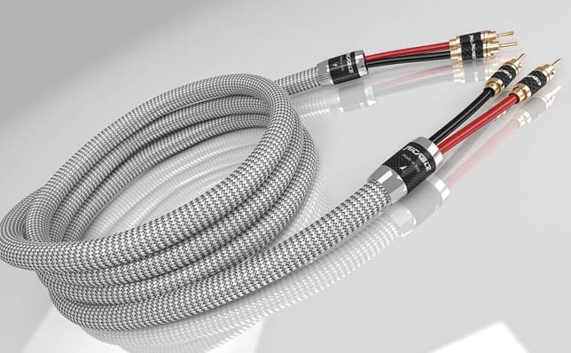 Ricable Invictus Speaker Reference MkII