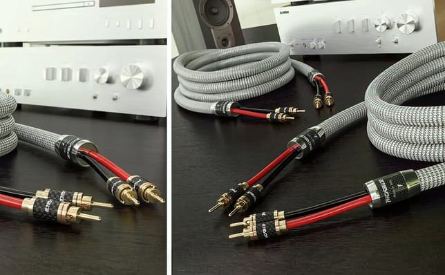 Ricable Invictus Speaker Reference MkII