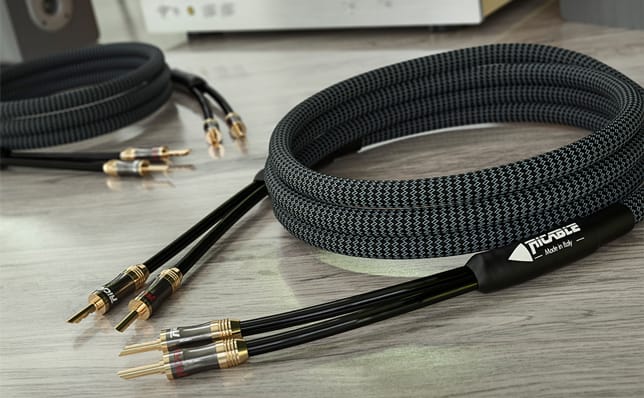 Ricable Magnus Speaker MKII