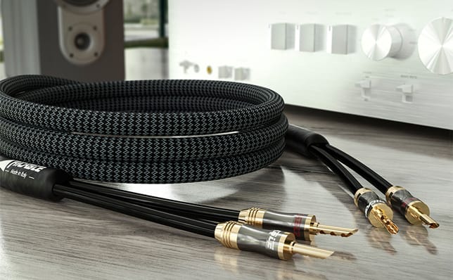 Ricable Magnus Speaker MKII