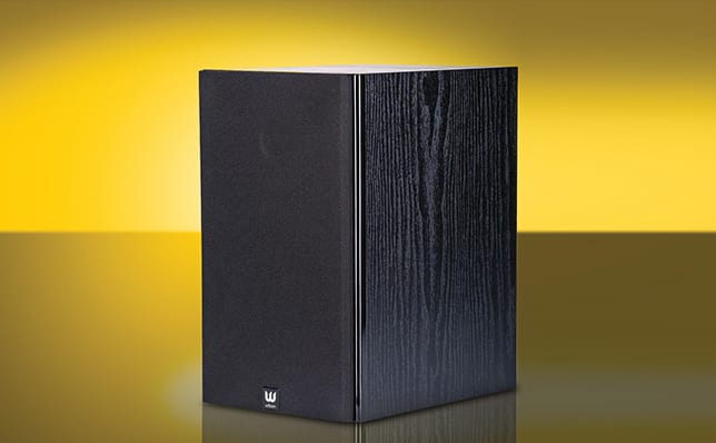 Kolumny podstawkowe - Wilson Raptor 3