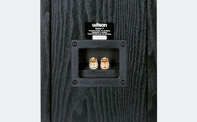 Wilson Raptor 7
